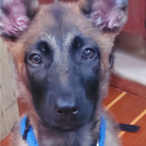 Meet your Posher, Jennifer - Picture 8 of 10